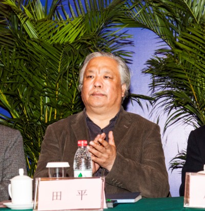 省裝飾協(xié)會副會長田平