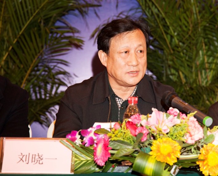 中裝協(xié)秘書(shū)長(zhǎng)劉曉一發(fā)表講話